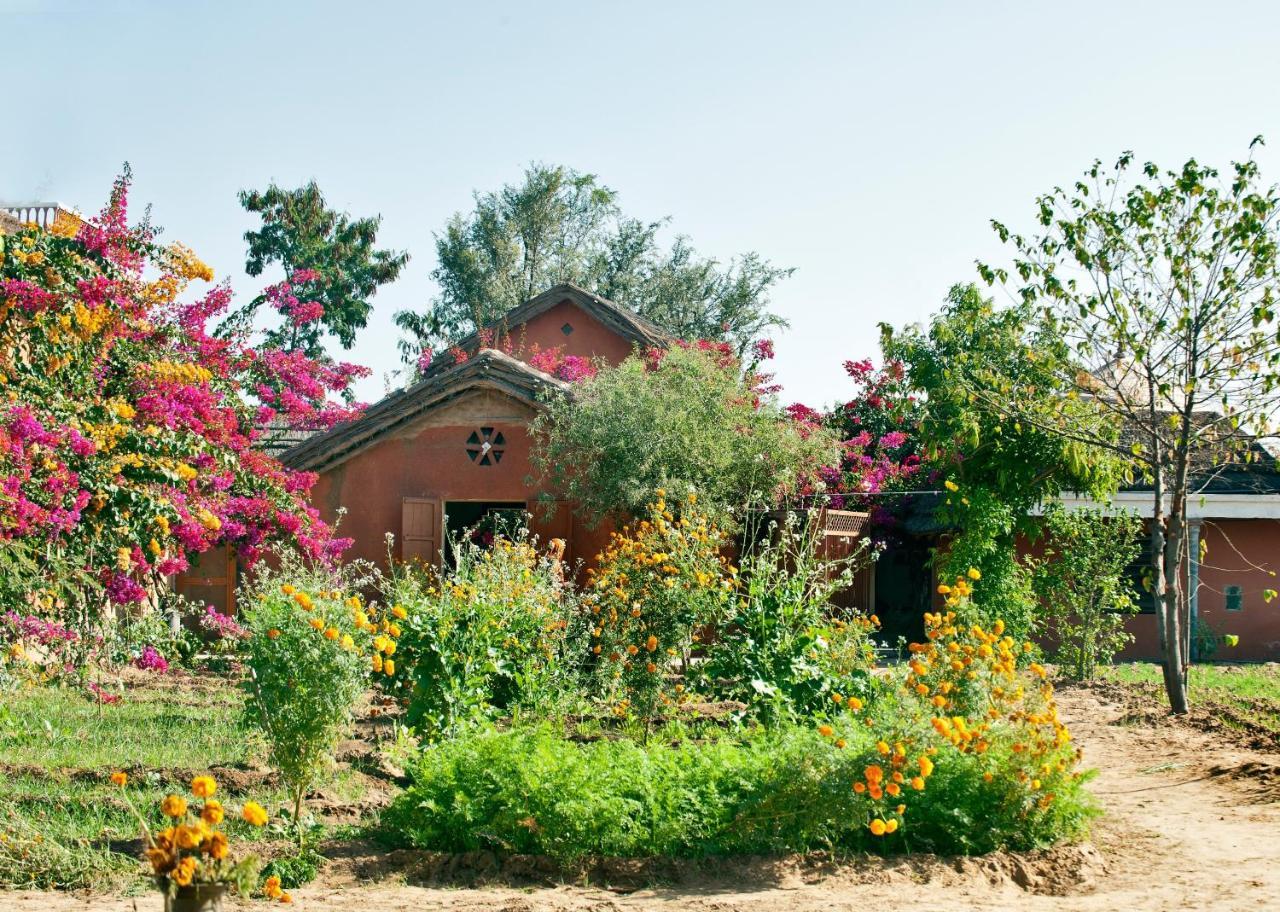 Apani Dhani Eco-Lodge Nawalgarh Экстерьер фото